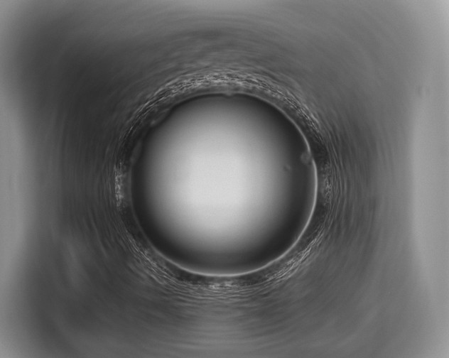 X0000115731490200911191401