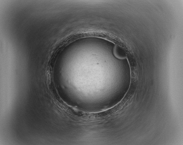 X0000115731493200911191401