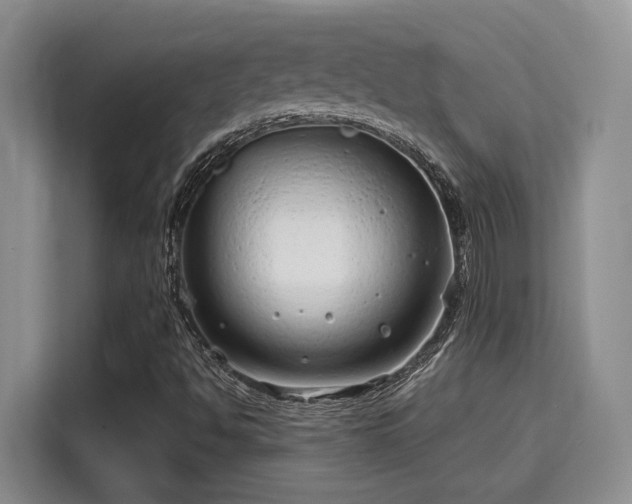 X0000115731494200911191401