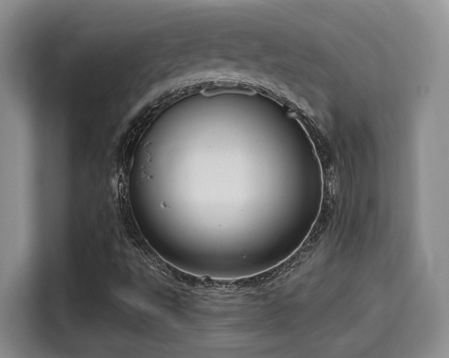 X0000115731495200911191401