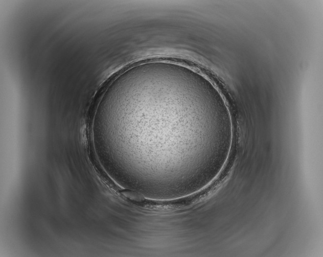 X0000115731497200911191401