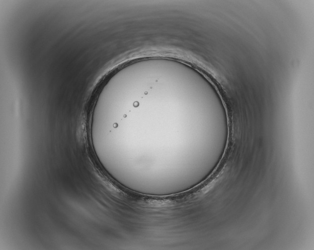 X0000115731498200911191401