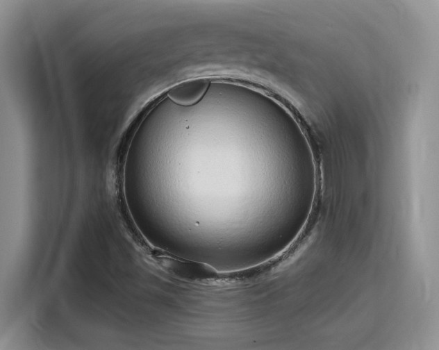 X0000115731501200911191401