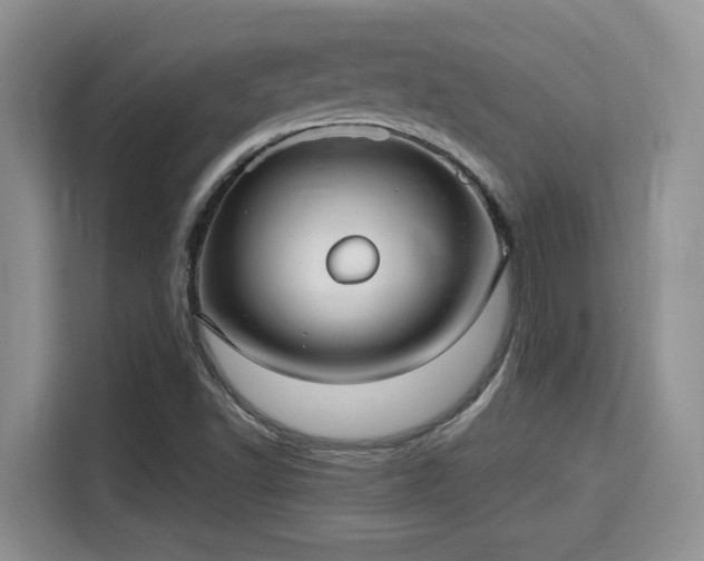 X0000115731502200911191401