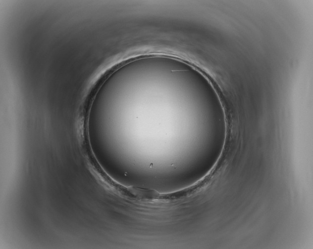 X0000115731503200911191401