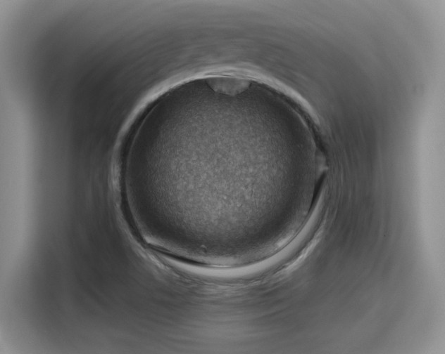 X0000115731506200911191401