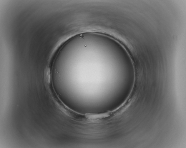 X0000115731509200911191401