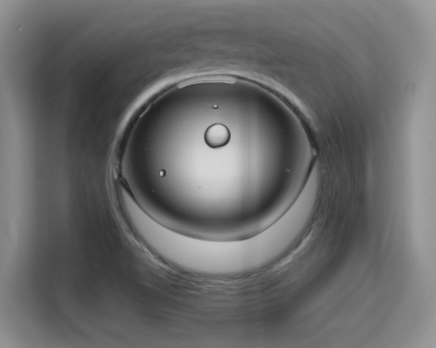 X0000115731510200911191401