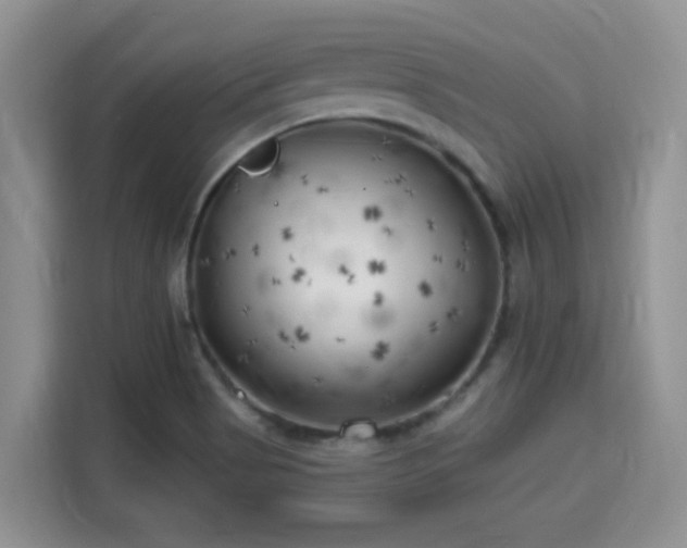 X0000115731513200911191401
