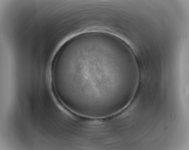 X0000115731515200911191401