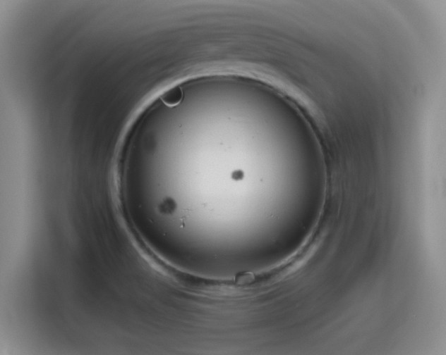 X0000115731517200911191401