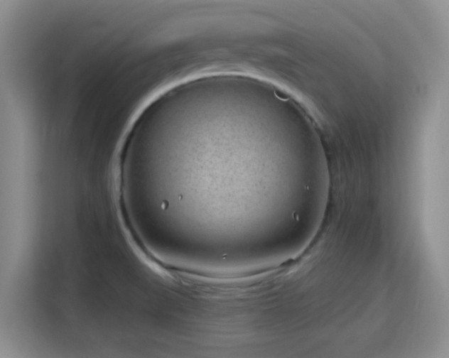 X0000115731519200911191401