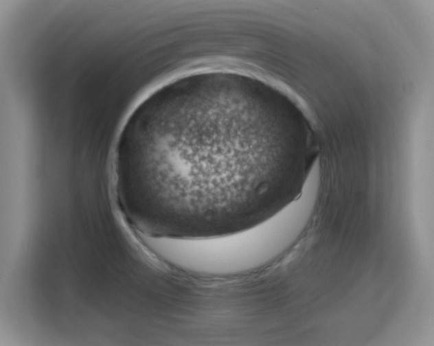 X0000115731522200911191401