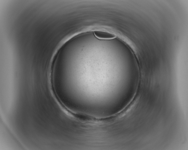 X0000115731525200911191401