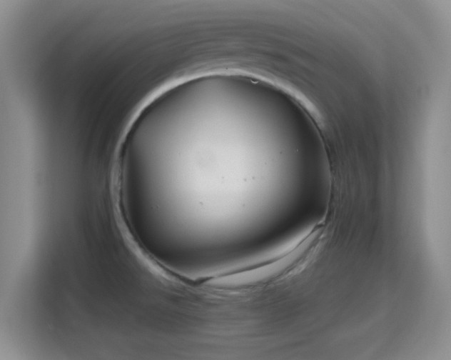 X0000115731526200911191402