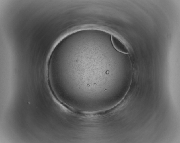 X0000115731527200911191402