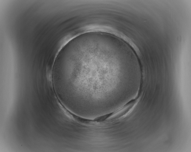 X0000115731529200911191402