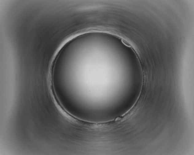 X0000115731531200911191402