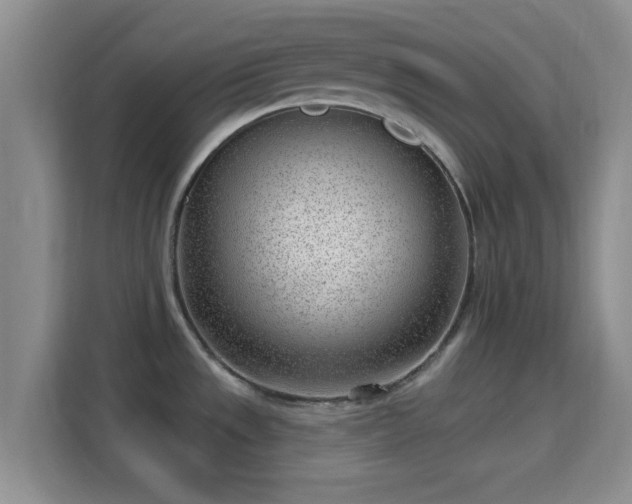 X0000115731533200911191402