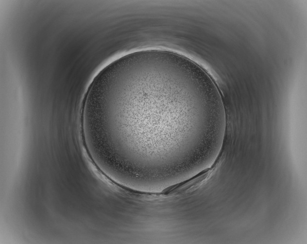 X0000115731534200911191402