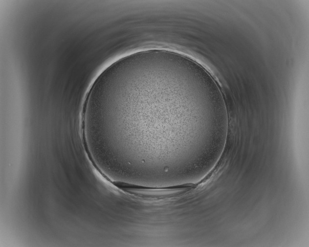 X0000115731535200911191402