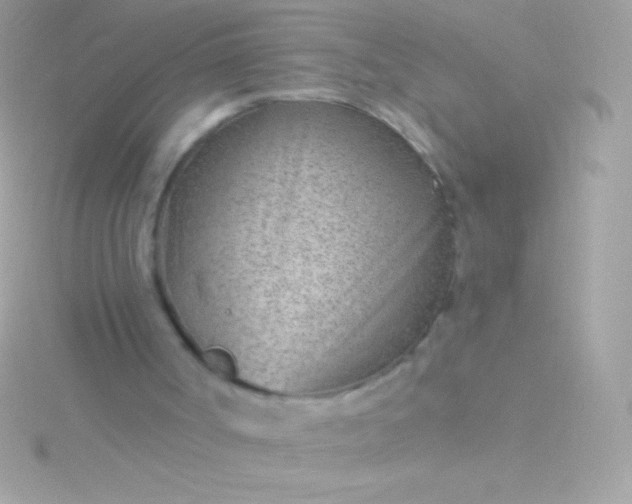 X0000115730002200911251948