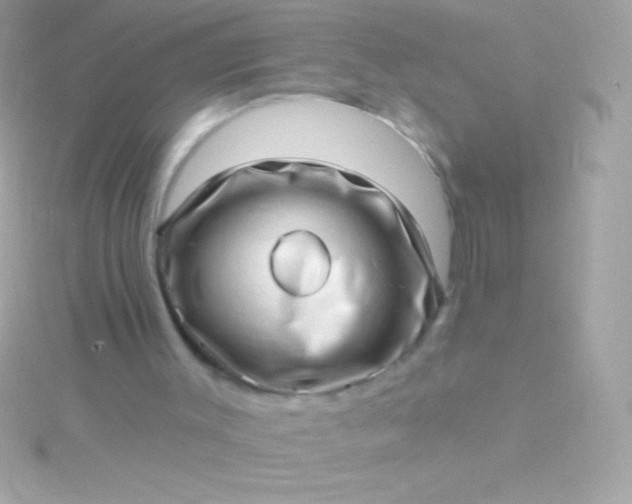 X0000115730003200911251948