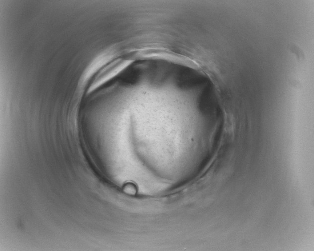 X0000115730004200911251948