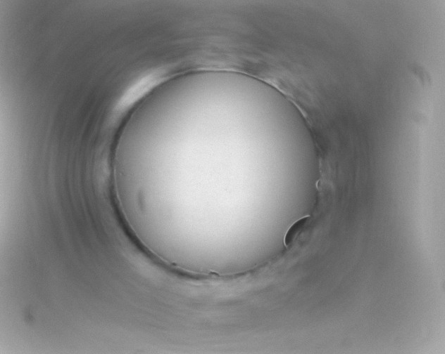 X0000115730005200911251948