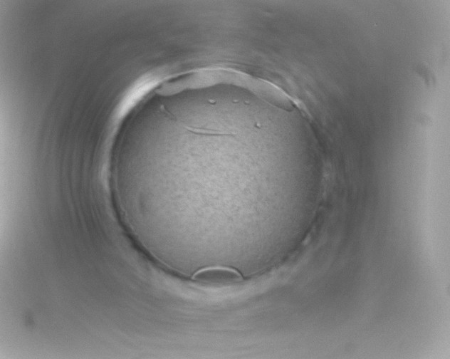 X0000115730006200911251948