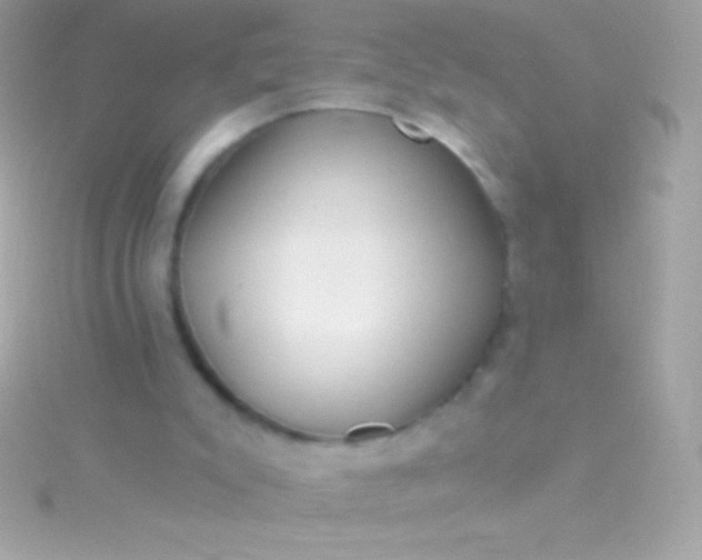 X0000115730007200911251948