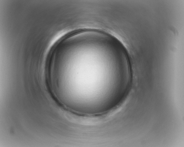 X0000115730008200911251948