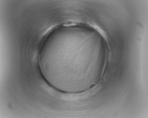 X0000115730009200911251948