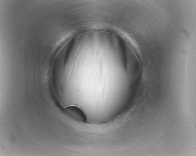 X0000115730010200911251948