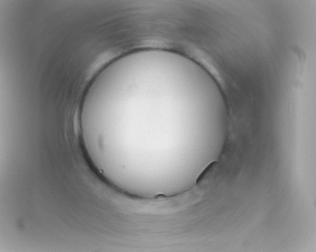 X0000115730011200911251948