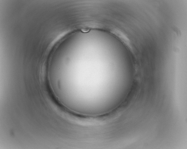 X0000115730012200911251948