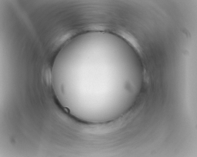 X0000115730013200911251948