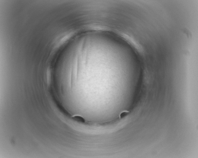 X0000115730014200911251948