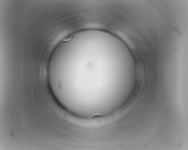 X0000115730015200911251948