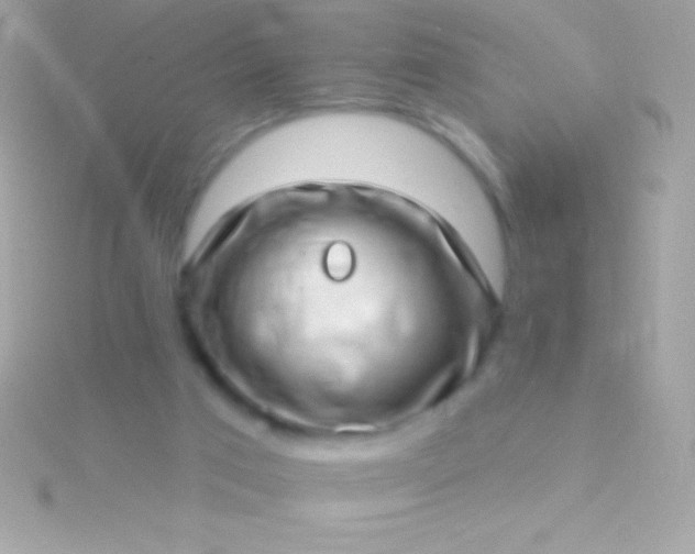 X0000115730017200911251948