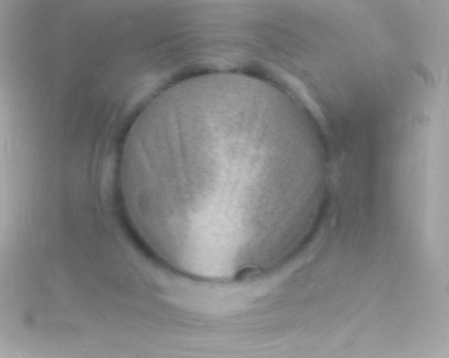 X0000115730018200911251948