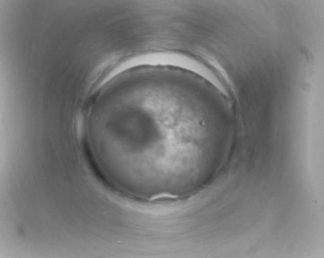 X0000115730019200911251948