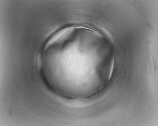 X0000115730020200911251948