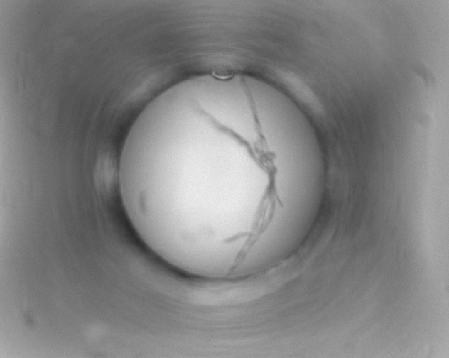 X0000115730021200911251948