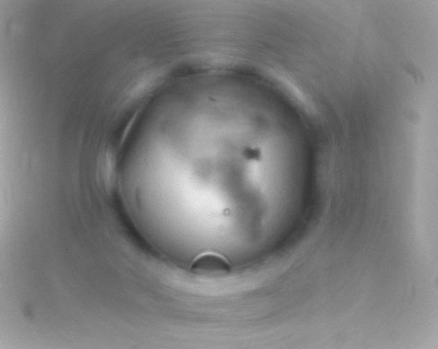 X0000115730022200911251948