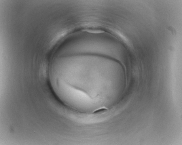 X0000115730023200911251948