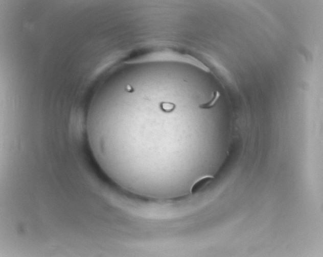 X0000115730024200911251948