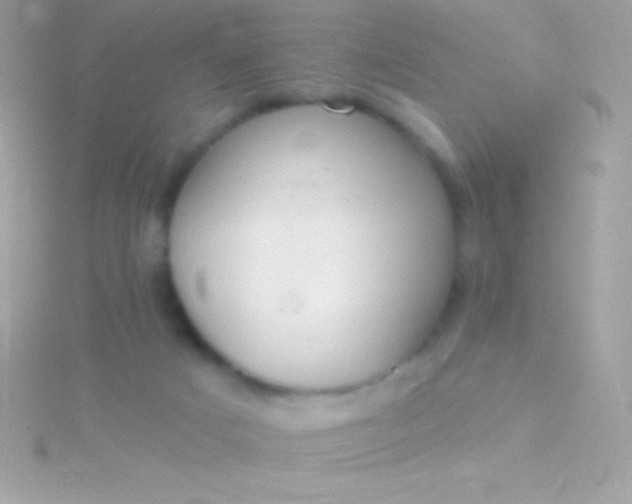 X0000115730025200911251948