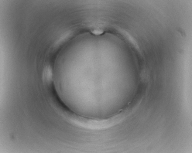 X0000115730027200911251948