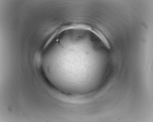 X0000115730028200911251948